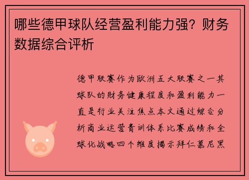哪些德甲球队经营盈利能力强？财务数据综合评析