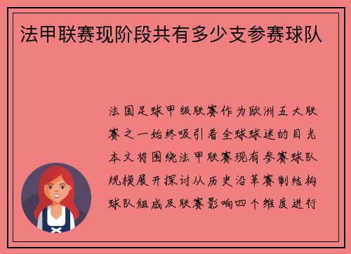 法甲联赛现阶段共有多少支参赛球队