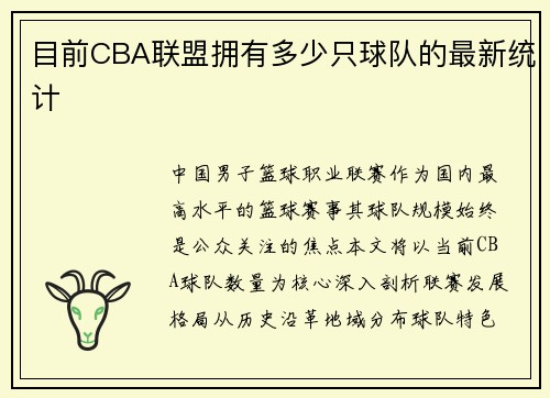 目前CBA联盟拥有多少只球队的最新统计